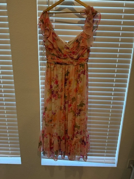 Birdy Grey Soft Blush Ruffle Dress - Picture 1 of 4